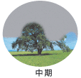 単焦点眼内レンズ 中期